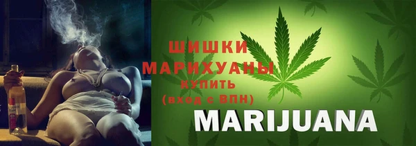 спиды Богданович