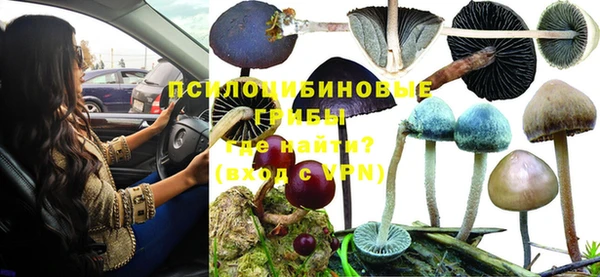 таблы Богородицк