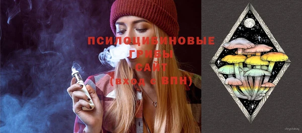 спиды Богданович