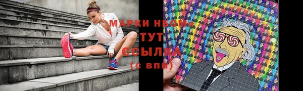 спиды Богданович