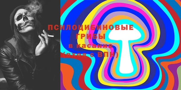 спиды Богданович